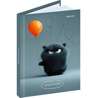 Большое фото товара - Записная книжка А6 64л "УГРЮМЫЙ КОТИК" глянц.лам. ЗК64-3032 Проф-Пресс, 12-208187. Вариант №1