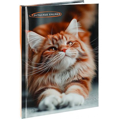 Большое фото товара - Записная книжка А5 80л "ФОТО КОТИКА" глянц.лам. 80-9071 Проф-Пресс, 12-208434. Вариант №1