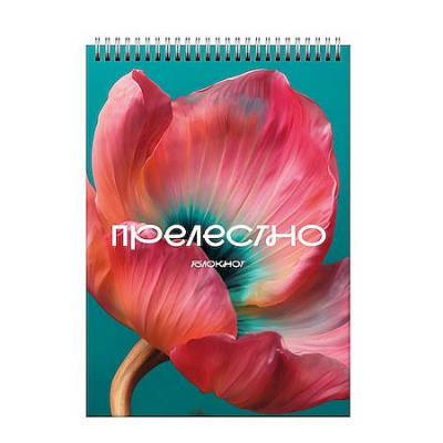 Большое фото товара - Блокнот А5 60л на спирали "Цветение.2" БСК560439 Listoff, 12-208805. Вариант №1