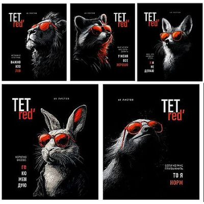 Большое фото товара - Тетрадь  48л клетка Премиум "ТетРед" 021481 ПЗБМ, 12-210061. Вариант №1