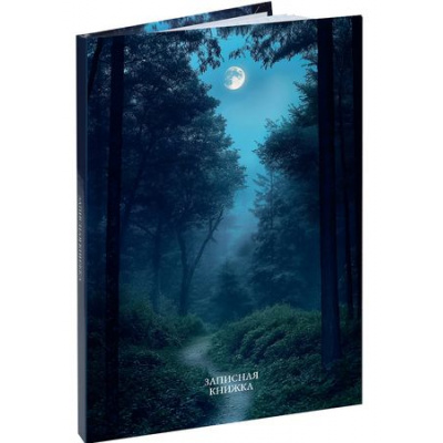 Большое фото товара - Записная книжка А6  96л клетка "ЛУННЫЕ ПЕЙЗАЖИ - 1" ЗК96-0082 Проф-Пресс, 12-211268. Вариант №1