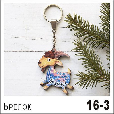 Большое фото товара - Брелок НГ27/16/003 ТОМГРАД, 12-211738. Вариант №1