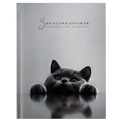 Большое фото товара - Записная книжка 120х150 мм 80л "БРИТАНСКИЙ КОТ" с алфавитной вырубкой 74404 Феникс, 12-212527. Вариант №1