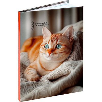 Большое фото товара - Записная книжка А6 64л "ФОТО КОТИКА - 2"  64-9088 Проф-Пресс, 12-213715. Вариант №1