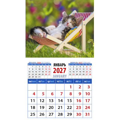 Большое фото товара - КалендарьНаМагните 2027 Сладкие сны (94*167, отрывной) 20717, (День за днем), 13-1023288. Вариант №1