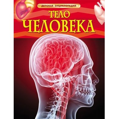 Большое фото товара - ДетскаяЭнциклопедия Тело человека, (Росмэн/Росмэн-Пресс, 2023), 7Бц, c.48, 13-475871. Вариант №1