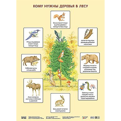 Большое фото товара - НаглядныеПособия Плакат. Кому нужны деревья в лесу (А1) (506383), (Мозаика-Синтез, 2020), Л, 13-626355. Вариант №1