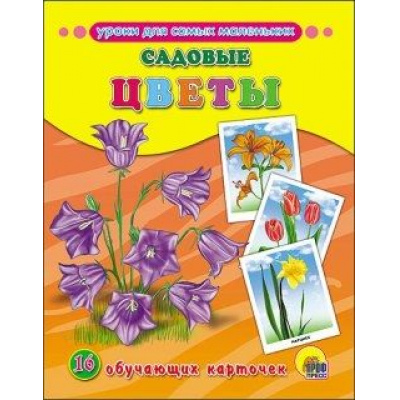 Большое фото товара - УрокиДляСамыхМаленьких Садовые цветы (16 обучающих карточек) (в папке), (Проф-Пресс, 2018), К, c.16, 13-662439. Вариант №1