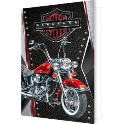 Большое фото товара - 2701609 Motor cycles (мини, подвеска, двойная), (МирОткр), 13-749914. Вариант №1