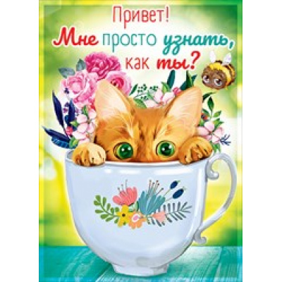 Большое фото товара - 08033 Привет. Мне просто узнать, как ты? (карточка, мини), (ОткрытаяПланета), 13-778552. Вариант №1