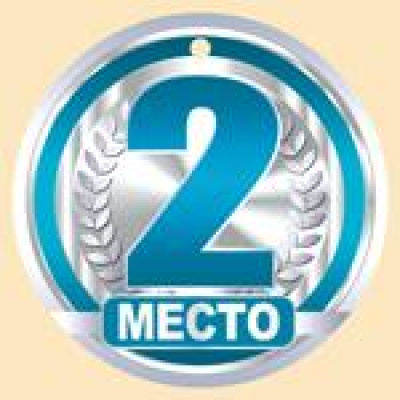 Большое фото товара - 5560000 Медаль "2 место" (мини, подвеска, текст), (ИмперияПоздр), 13-847762. Вариант №1