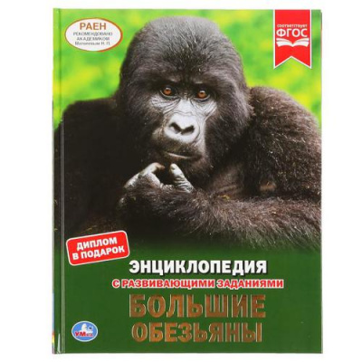 Большое фото товара - Энциклопедия Большие обезьяны (с развивающими заданиями), (Умка, 2022), 7Бц, c.48, 13-855679. Вариант №1