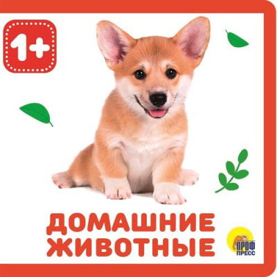 Большое фото товара - КнижкиНаПене Домашние животные (от 1 года), (Проф-Пресс, 2024), ПВХ, c.10, 13-856882. Вариант №1