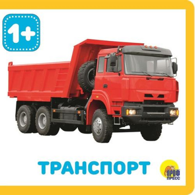 Большое фото товара - КнижкиНаПене Транспорт (от 1 года), (Проф-Пресс, 2024), ПВХ, c.10, 13-856889. Вариант №1