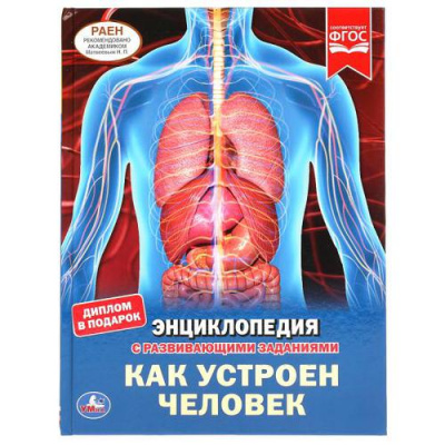 Большое фото товара - Энциклопедия Как устроен человек (с развивающими заданиями) (А4), (Умка, 2023), 7Бц, c.48, 13-872134. Вариант №1