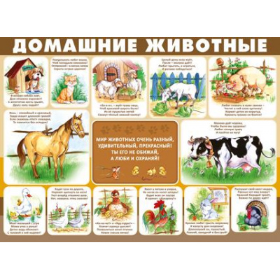 Большое фото товара - 2204800 Плакат "Домашние животные" (А2, текст), (ИмперияПоздр), 13-872220. Вариант №1