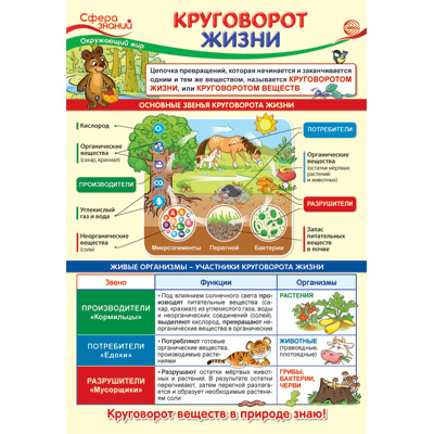 Большое фото товара - Плакат Окружающий мир в начальной школе. Круговорот жизни (А3) (ПО-13973), (Сфера), 13-883418. Вариант №1