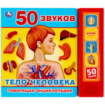 Большое фото товара - Тело человека (звуковой модуль, 5 кнопок, 50 звуков), (Умка, 2021), К, c.10, 13-894851. Вариант №1