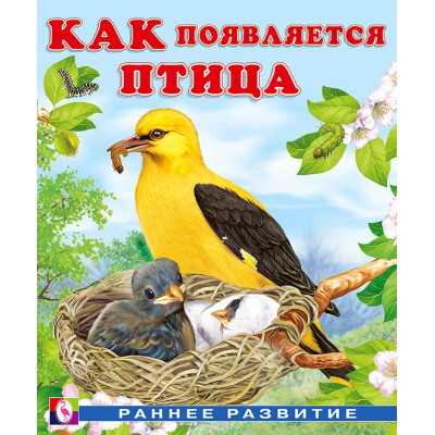 Большое фото товара - РаннееРазвитие Гурина И.В. Как появляется птица (Арт.29258), (Фламинго, 2025), Обл, c.16, 13-915404. Вариант №1