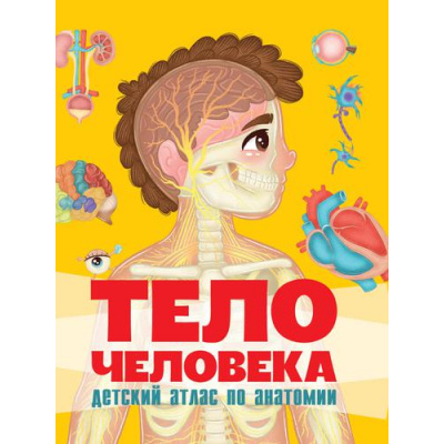 Большое фото товара - Тело человека. Детский атлас по анатомии, (Проф-Пресс, 2022), К, c.14, 13-919130. Вариант №1