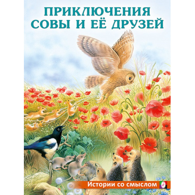 Большое фото товара - ИсторииСоСмыслом Приключения совы и ее друзей (Арт.30681), (Фламинго, 2024), Обл, c.16, 13-930863. Вариант №1