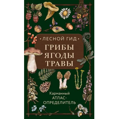 Большое фото товара - ПриродныйГид Семенова Л.С. Лесной гид. Грибы, ягоды, травы. Карманный атлас-определитель (наблюдения и открытия), (Эксмо, 2026), 7Б, c.288, 13-935647. Вариант №1