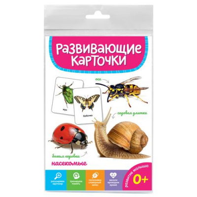 Большое фото товара - РазвивающиеКарточки Насекомые (20 карточек) (от 0 лет), (Проф-Пресс, 2023), К, 13-947198. Вариант №1