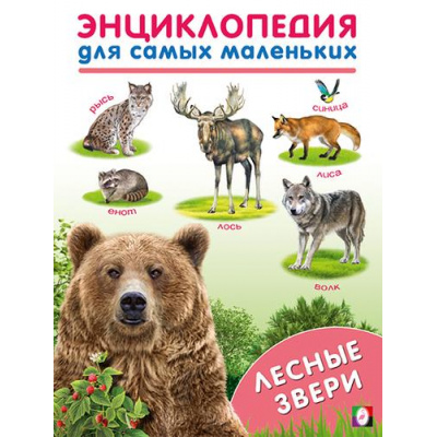 Большое фото товара - ЭнциклопедияДляСамыхМаленьких Лесные звери (Арт.31909), (Фламинго, 2023), Обл, c.16, 13-948446. Вариант №1