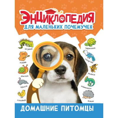 Большое фото товара - ЭнциклопедияДляМаленькихПочемучек Домашние питомцы, (Проф-Пресс, 2023), 7Бц, c.48, 13-955801. Вариант №1