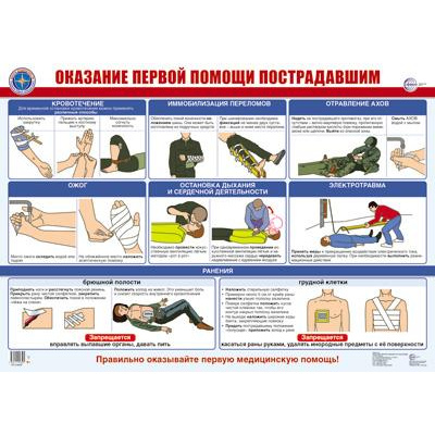 Большое фото товара - Плакат Оказание первой помощи пострадавшим (А2, ламинированный) (ПЛ-16007), (Сфера, 2024), Л, 13-979760. Вариант №1