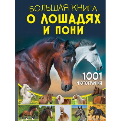 Большое фото товара - БольшаяКнигаОбоВсем Большая книга о лошадях и пони. 1001 фотография (Спектор А.А.), (АСТ, 2024), 7Б, c.288, 13-983247. Вариант №1