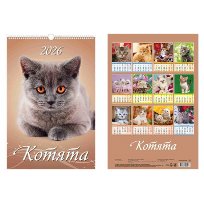 Большое фото товара - КалендарьНастенный 2026 Котята (320*480, с ригелем, на спирали, перекидной) 0526019, (Дитон,Каленарт), 13-996170. Вариант №1