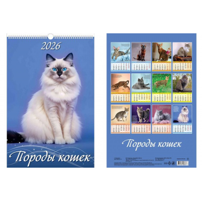 Большое фото товара - КалендарьНастенный 2026 Породы кошек (320*480, с ригелем, на спирали, перекидной) 0526031, (Дитон,Каленарт), 13-996185. Вариант №1